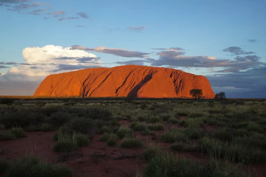 塞浦路斯举重选手刷新个人纪录的简单介绍